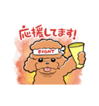 HELLO！ トイプードル（個別スタンプ：23）
