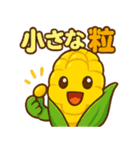 かわいいトウモロコシのスタンプ2（個別スタンプ：15）