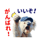 野球好き竜ファンコアラ2(一年中日常会話)（個別スタンプ：30）