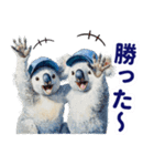 野球好き竜ファンコアラ2(一年中日常会話)（個別スタンプ：31）