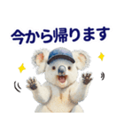 野球好き竜ファンコアラ2(一年中日常会話)（個別スタンプ：34）