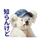 野球好き竜ファンコアラ2(一年中日常会話)（個別スタンプ：35）