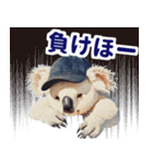 野球好き竜ファンコアラ2(一年中日常会話)（個別スタンプ：40）