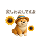 夏の3D柴犬フィギュア【かわいい・連絡】（個別スタンプ：1）