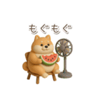 夏の3D柴犬フィギュア【かわいい・連絡】（個別スタンプ：2）