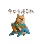 夏の3D柴犬フィギュア【かわいい・連絡】（個別スタンプ：3）
