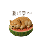 夏の3D柴犬フィギュア【かわいい・連絡】（個別スタンプ：8）