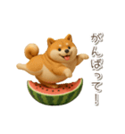 夏の3D柴犬フィギュア【かわいい・連絡】（個別スタンプ：15）