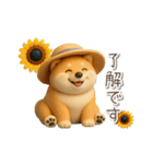 夏の3D柴犬フィギュア【かわいい・連絡】（個別スタンプ：16）