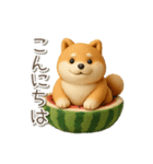 夏の3D柴犬フィギュア【かわいい・連絡】（個別スタンプ：18）
