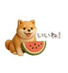 夏の3D柴犬フィギュア【かわいい・連絡】（個別スタンプ：24）