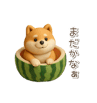 夏の3D柴犬フィギュア【かわいい・連絡】（個別スタンプ：29）