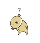 私はふぐです（個別スタンプ：17）