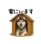 シベリアンハスキー★毎日使う返信スタンプ（個別スタンプ：22）