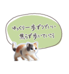 魔法の言葉2 心が軽くなる 心のケア（個別スタンプ：3）
