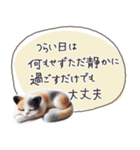 魔法の言葉2 心が軽くなる 心のケア（個別スタンプ：6）