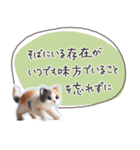魔法の言葉2 心が軽くなる 心のケア（個別スタンプ：7）
