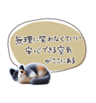 魔法の言葉2 心が軽くなる 心のケア（個別スタンプ：9）
