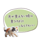 魔法の言葉2 心が軽くなる 心のケア（個別スタンプ：11）