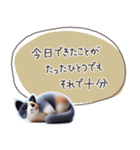 魔法の言葉2 心が軽くなる 心のケア（個別スタンプ：13）