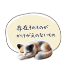 魔法の言葉2 心が軽くなる 心のケア（個別スタンプ：14）