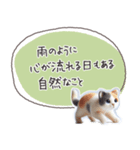 魔法の言葉2 心が軽くなる 心のケア（個別スタンプ：15）