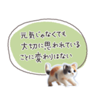 魔法の言葉2 心が軽くなる 心のケア（個別スタンプ：19）