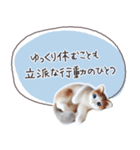 魔法の言葉2 心が軽くなる 心のケア（個別スタンプ：20）