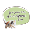 魔法の言葉2 心が軽くなる 心のケア（個別スタンプ：23）
