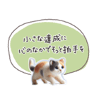 魔法の言葉2 心が軽くなる 心のケア（個別スタンプ：27）