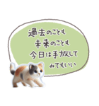 魔法の言葉2 心が軽くなる 心のケア（個別スタンプ：31）