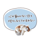 魔法の言葉2 心が軽くなる 心のケア（個別スタンプ：32）