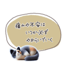 魔法の言葉2 心が軽くなる 心のケア（個別スタンプ：33）