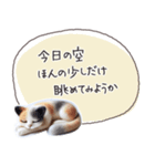 魔法の言葉2 心が軽くなる 心のケア（個別スタンプ：34）
