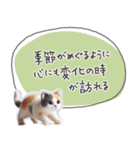 魔法の言葉2 心が軽くなる 心のケア（個別スタンプ：35）