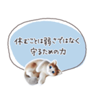 魔法の言葉2 心が軽くなる 心のケア（個別スタンプ：36）