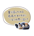 魔法の言葉2 心が軽くなる 心のケア（個別スタンプ：37）