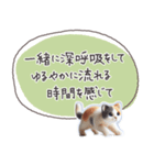 魔法の言葉2 心が軽くなる 心のケア（個別スタンプ：39）
