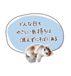 魔法の言葉2 心が軽くなる 心のケア（個別スタンプ：40）