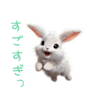 可愛すぎる動物達の使いやすい日常スタンプ（個別スタンプ：21）