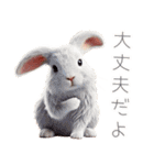可愛すぎる動物達の使いやすい日常スタンプ（個別スタンプ：36）