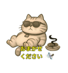 でぶ猫夏日和（個別スタンプ：1）