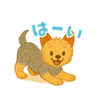 いつでもヨーキー気分（個別スタンプ：3）