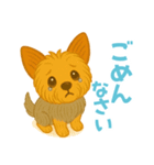 いつでもヨーキー気分（個別スタンプ：10）