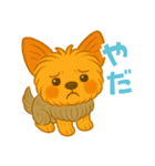 いつでもヨーキー気分（個別スタンプ：12）