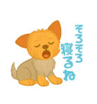 いつでもヨーキー気分（個別スタンプ：15）