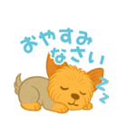 いつでもヨーキー気分（個別スタンプ：16）