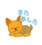 いつでもヨーキー気分（個別スタンプ：17）