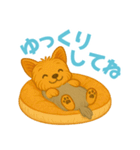 いつでもヨーキー気分（個別スタンプ：18）