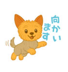 いつでもヨーキー気分（個別スタンプ：21）